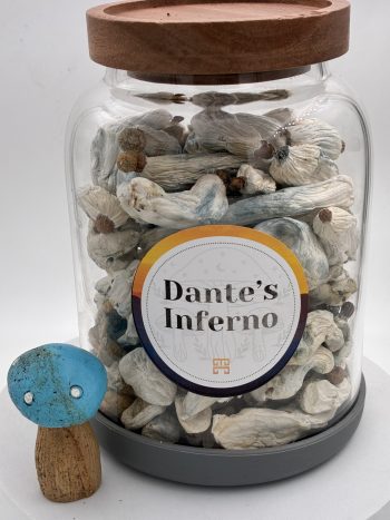 Dante’s Inferno Magic Mushrooms 🍄