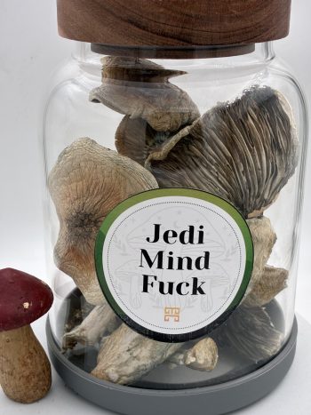 Jedi Mind Fuck Magic Mushrooms 🍄