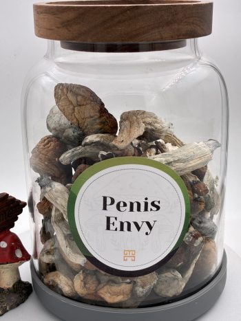 Penis Envy Magic Mushrooms 🍄