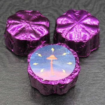 Alacabenzi – Chocolate Mushroom