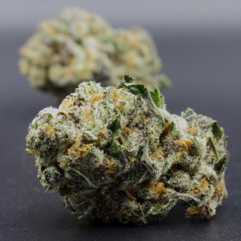 Blackberry (hybrid) A