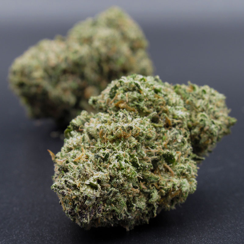 Blueberry x God Bud (indica dom hybrid) A Blueberry x God Bud (indica dom hybrid) A