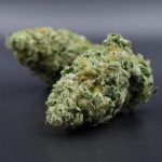 Cherry Slurpee (indica - hybrid) AA