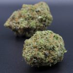 Death Bubba (indica – hybrid) AAAA