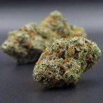Lemon Sour Diesel (sativa dom hybrid) A