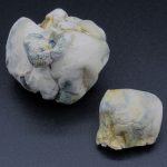 Magic Mushrooms – Alien Bubbles