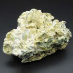 Magic Mushrooms – Enigma Mooncake