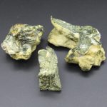 Magic Mushrooms – Obscurus TW2 Variant