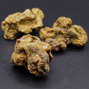 Magic Mushrooms – Philosopher’s Stone