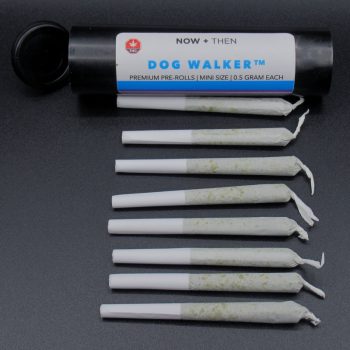 Now + Then – Dog Walker – 8 x 0.5g Indica Prerolls