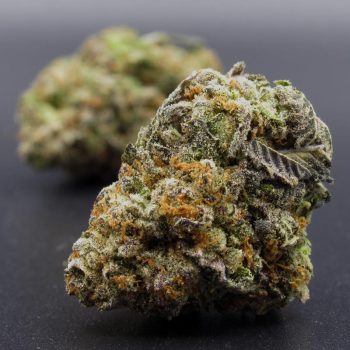 Peanut Butter Breath (hybrid) A