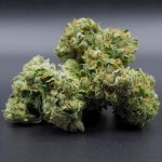 Pink Kush (indica - hybrid) AAA