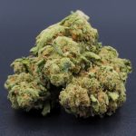 Sour Diesel (sativa - hybrid) A