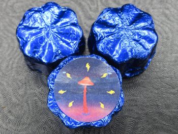 Transkei – Mushroom Chocolates