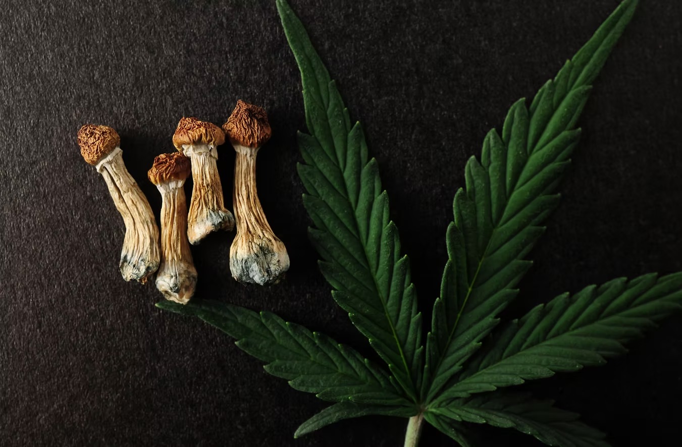 Dreams Leaf Dispensary Products