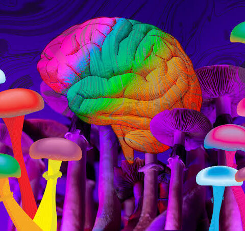 Psychedelics